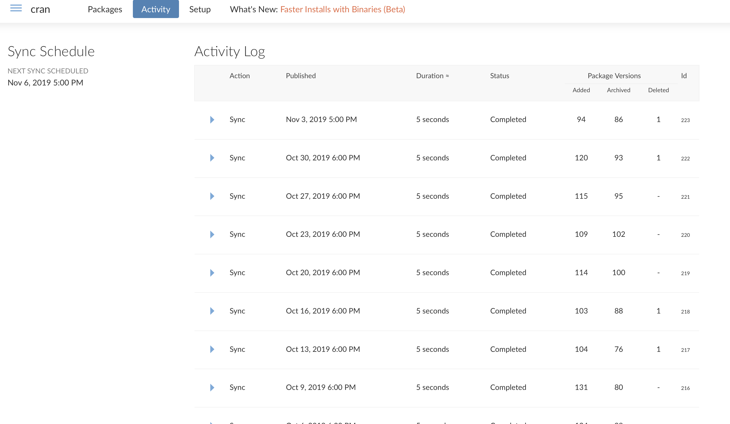 Screenshot showing successful Activity Log in Posit Package Manager