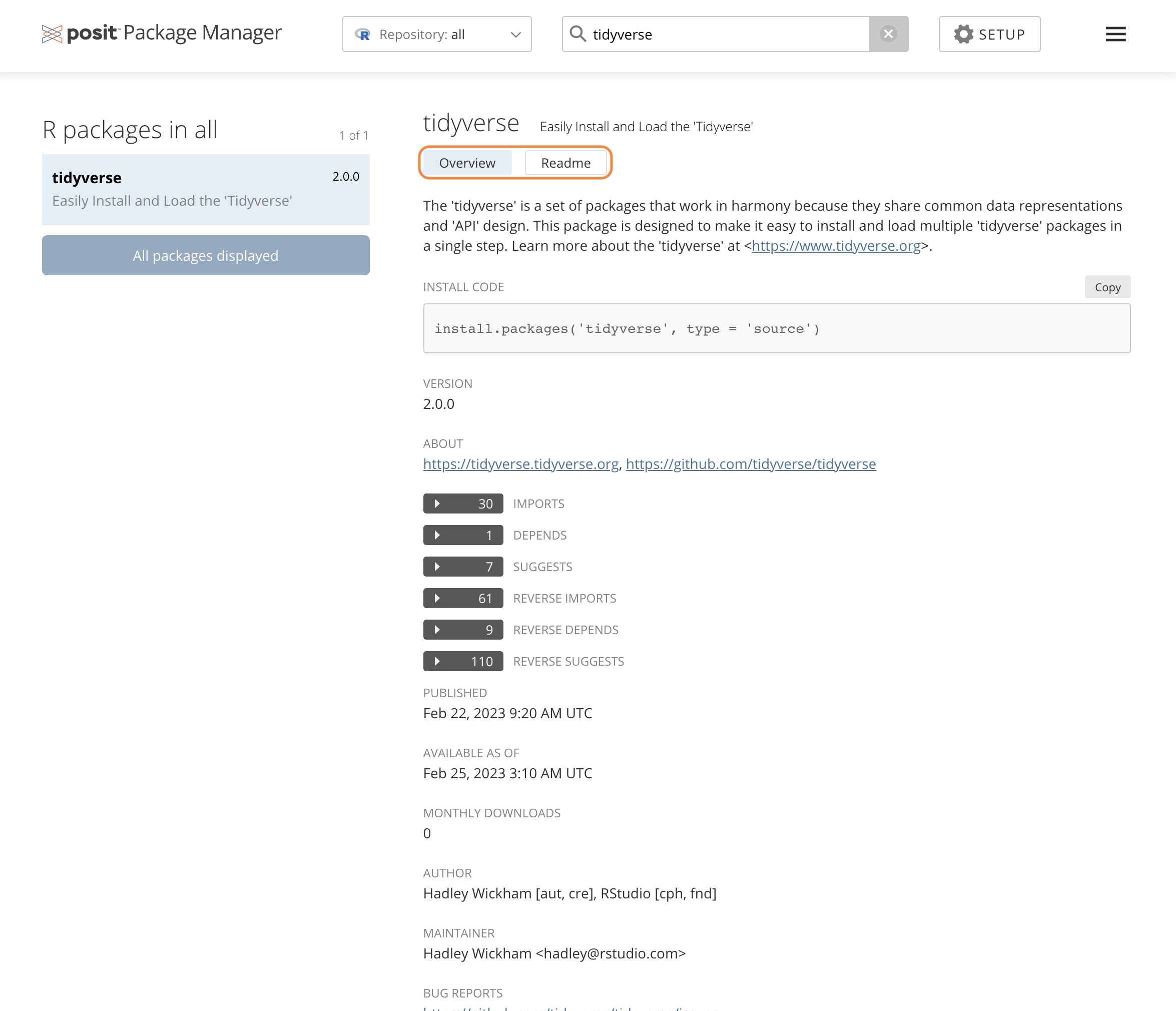 Package Manager R package overview pane